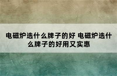 电磁炉选什么牌子的好 电磁炉选什么牌子的好用又实惠